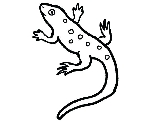 585x494 Make Your Own Gecko With Our Printable Template Mosaic - Gecko Drawing Template