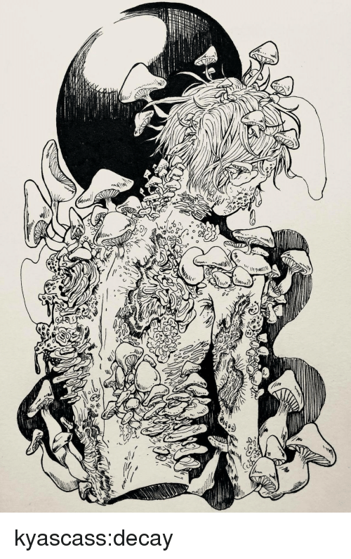 500x795 Kyascassdecay Tumblr Meme On Me Me - Geisha Drawing Tumblr