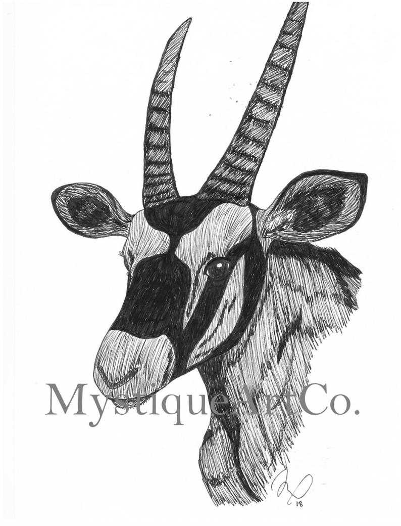 794x1040 Pen And Ink Gemsbok Drawing Done - Gemsbok Drawing