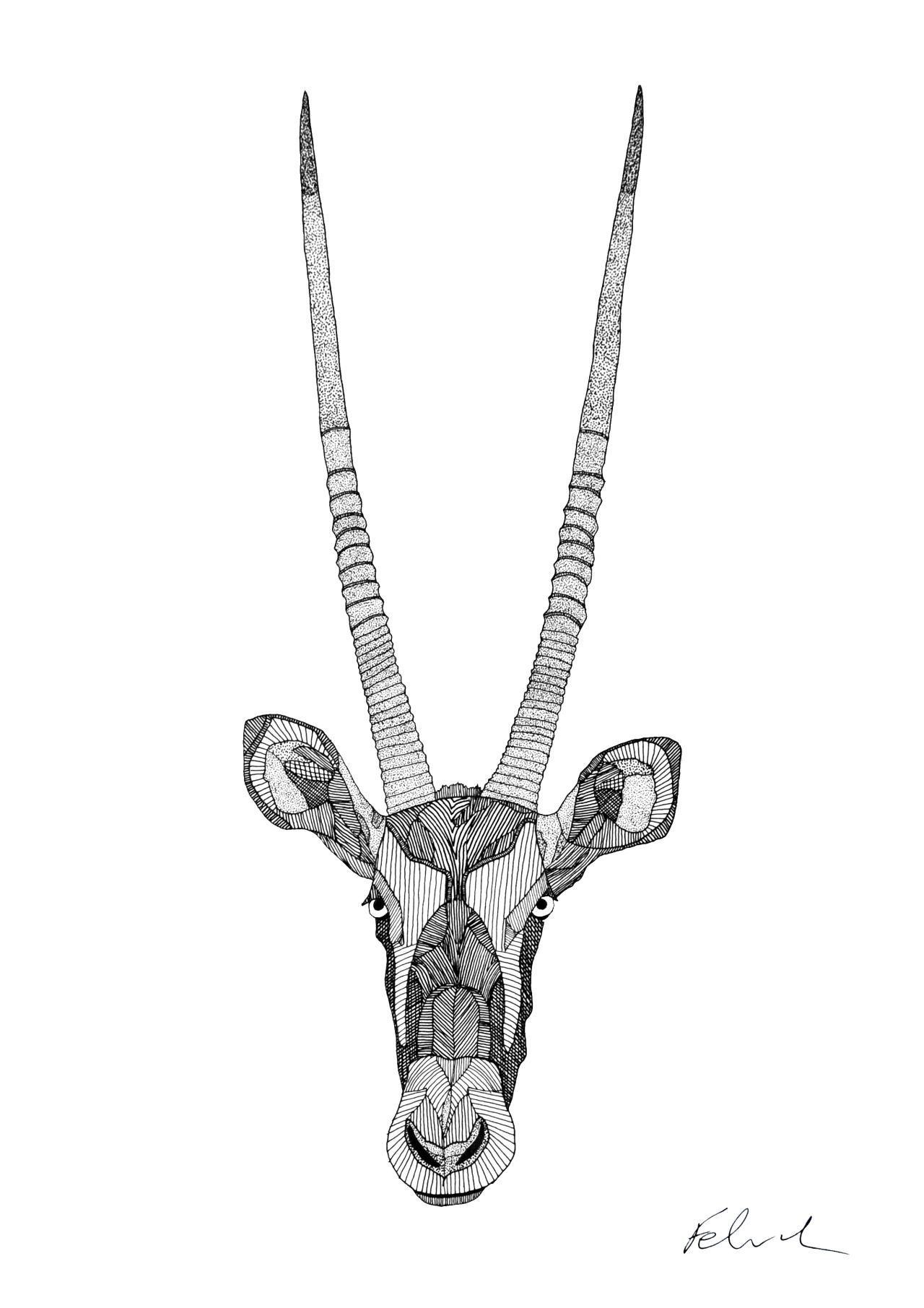 1280x1811 The Gemsbok Animal - Gemsbok Drawing