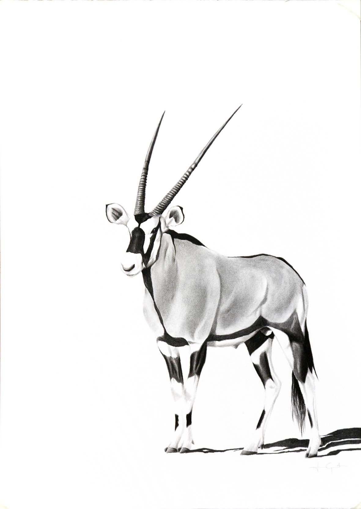 1181x1665 wildlife art in art wildlife art, art, wildlife tattoo - Gemsbok Drawing
