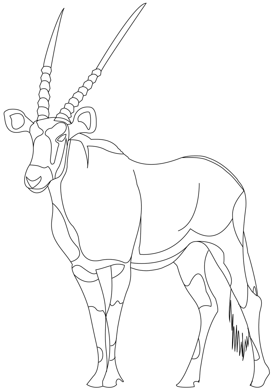 1116x1600 technical prowess gemsbok antelope - Gemsbok Drawing