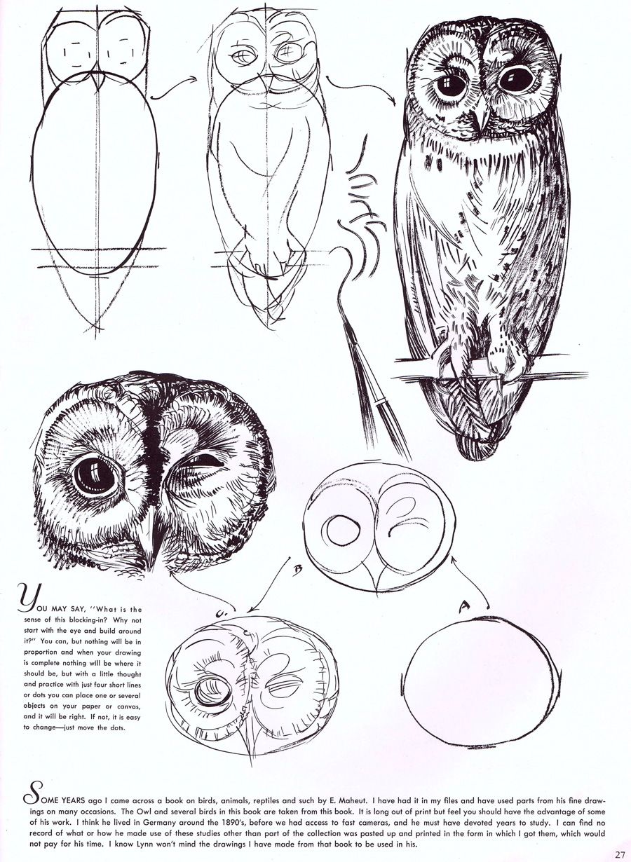 900x1230 scanning around with gene drawing with walter t foster - Gene Drawing