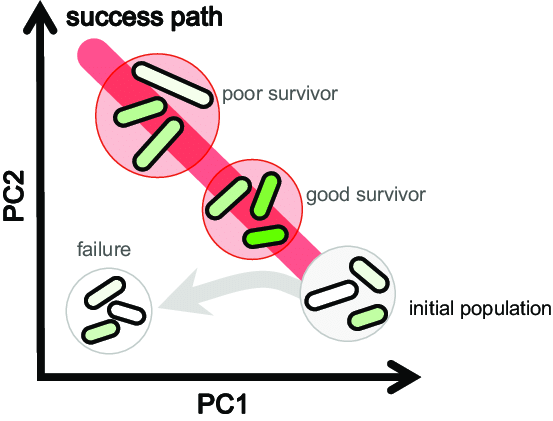 553x421 schematic drawing of coordinated reorganization for adaptation - Gene Drawing