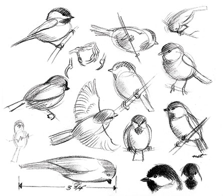 445x392  - General Drawing