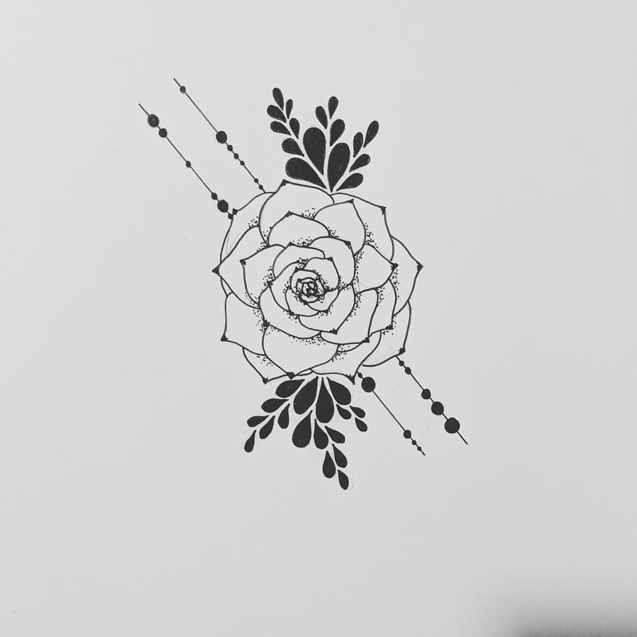 900x900 Geo Succulent Drawing - Geo Drawing
