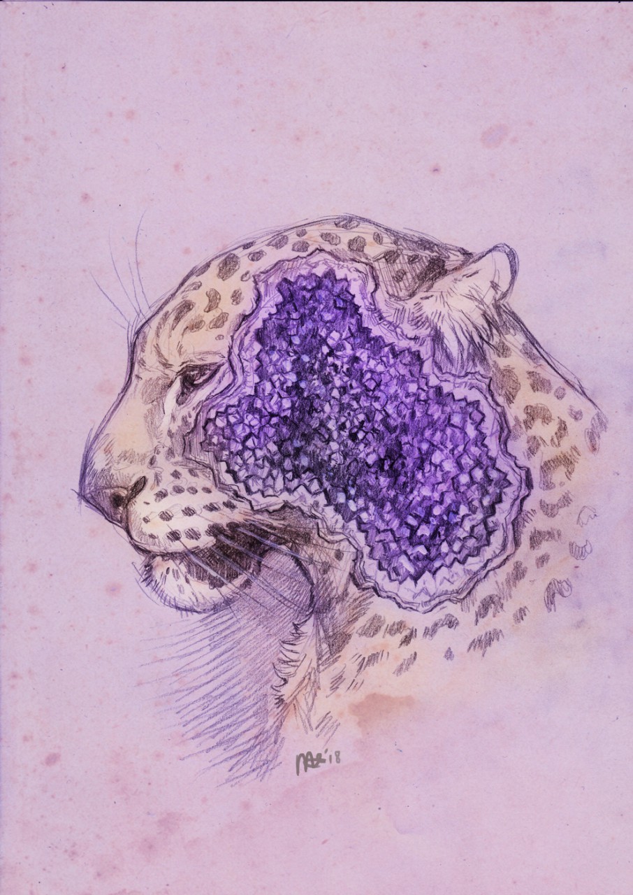 906x1280 geode leopard - Geode Drawing