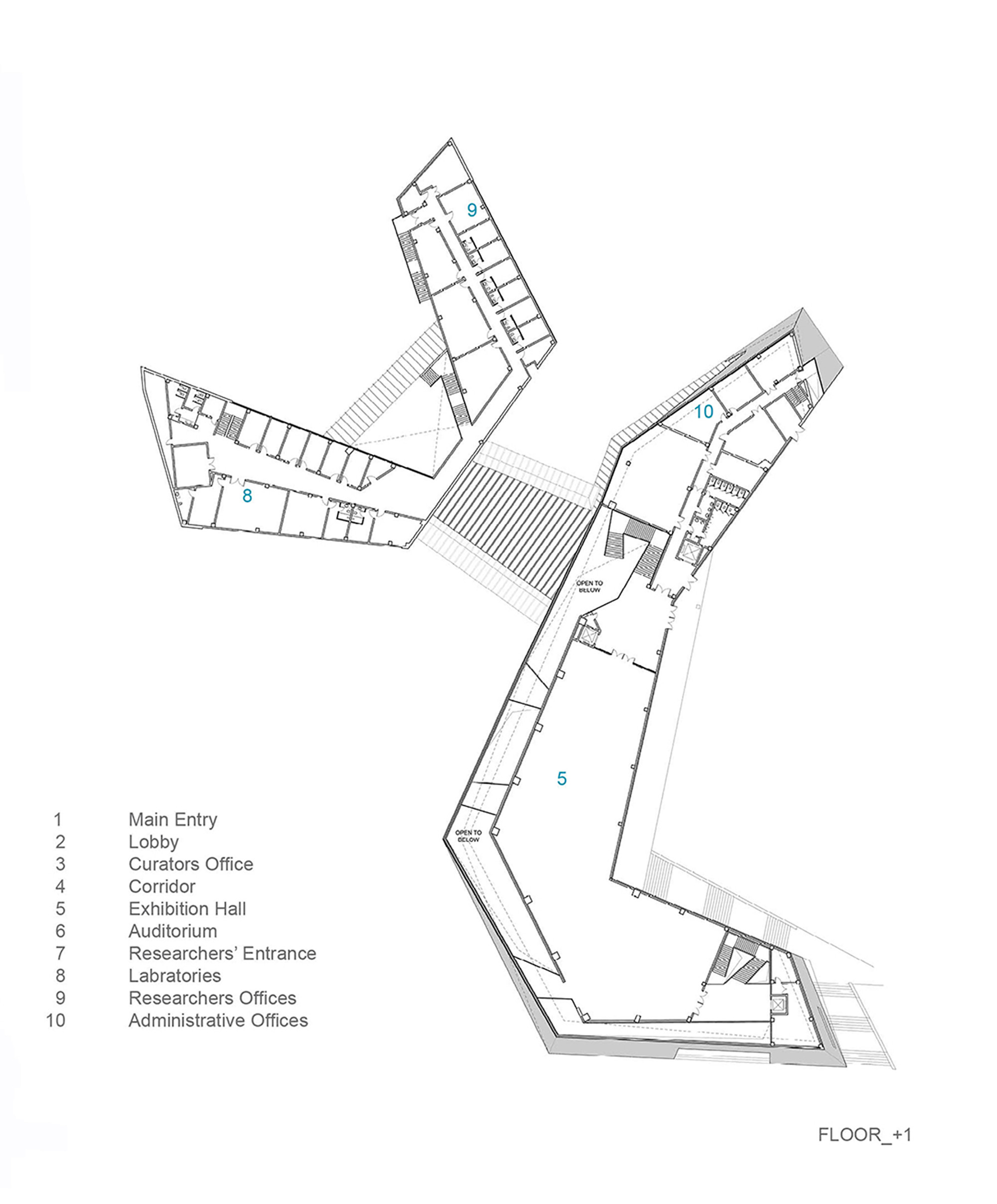2000x2414 gallery of geology museum leemundwiler architects - Geology Drawing