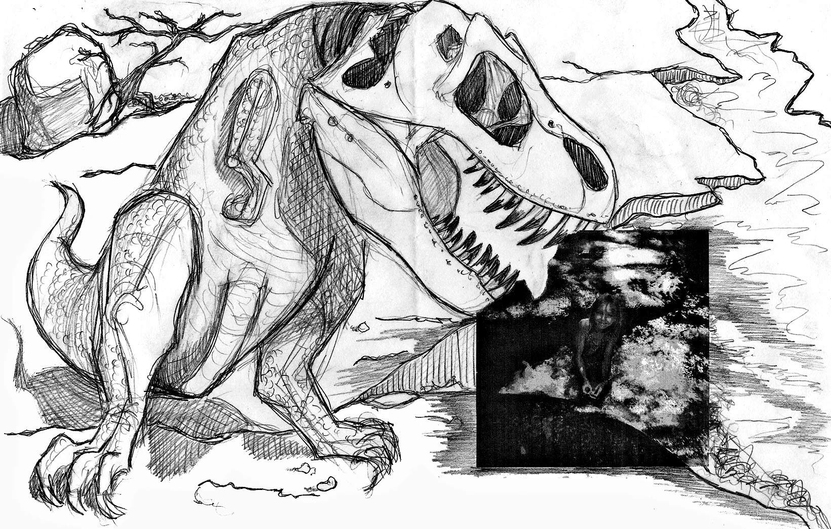 1640x1043 geology themed drawings study skin - Geology Drawing