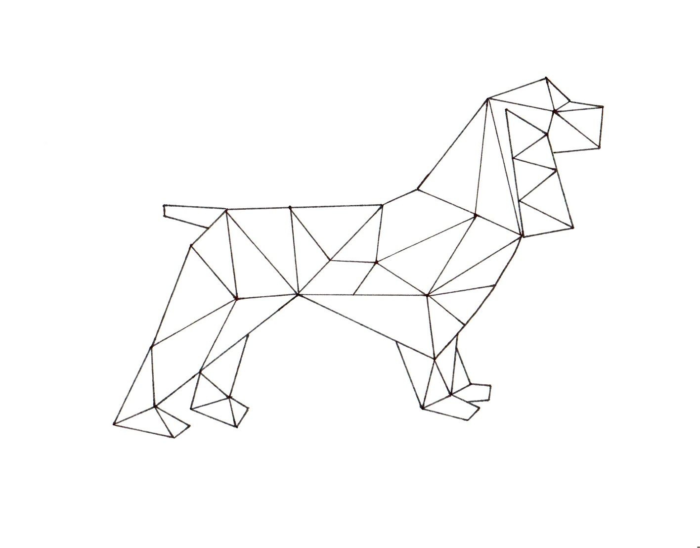 Geometric Animal Drawing