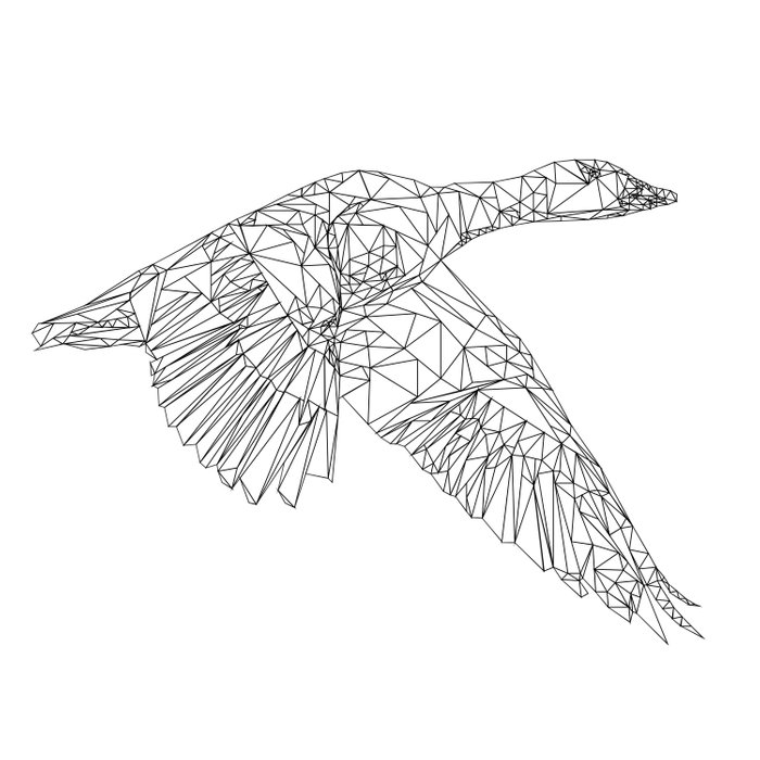 geometric bird drawing