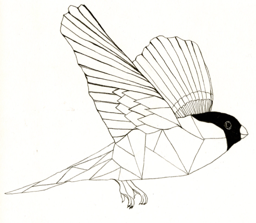 Geometric Bird Drawing at Explore collection of