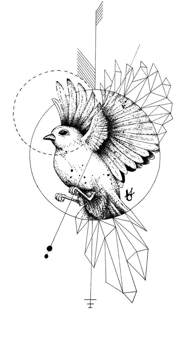 669x1193 Image Result For Geometric Sparrow Gallery Wall Owl Tattoo - Geometric Bird Drawing