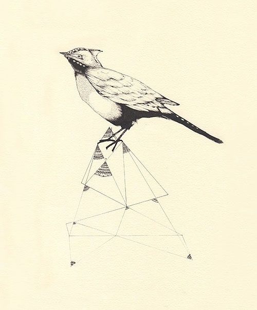 500x604 Geometric Bird Bird, Drawing, Geometry, Illustration, Pencil - Geometric Bird Drawing
