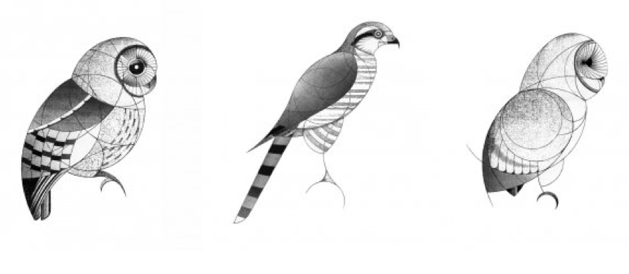 895x390 Adopt These Geometric Bird Drawings - Geometric Bird Drawing