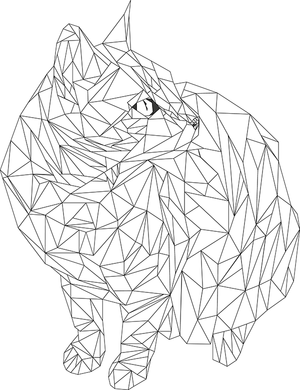 Geometric Cat Drawing at PaintingValley.com | Explore collection of ...