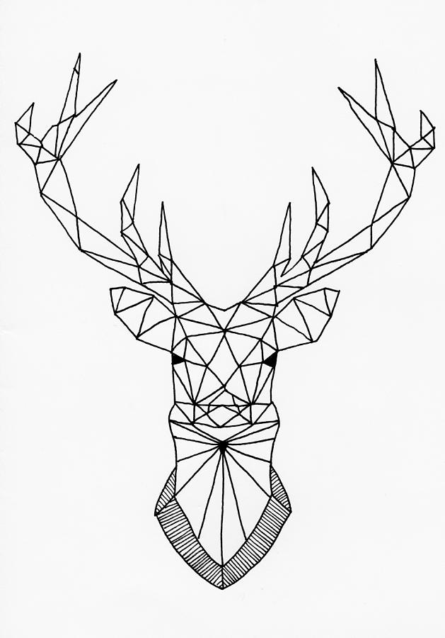629x900 Geometric Stag Head Drawing - Geometric Drawing