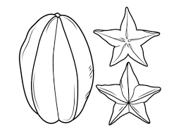 257x196 Kids Geometric Symmetry Fruit Drawing Lesson - Geometric Drawing For Kids