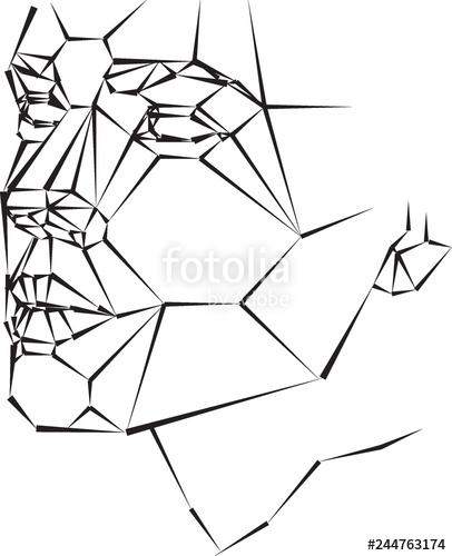 face geometric drawing