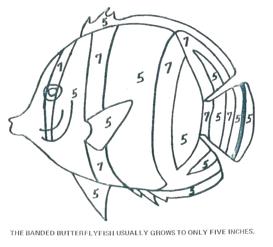 878x796 Coloring Fish Free Library Picture Of Rainbow - Geometric Fish Drawing