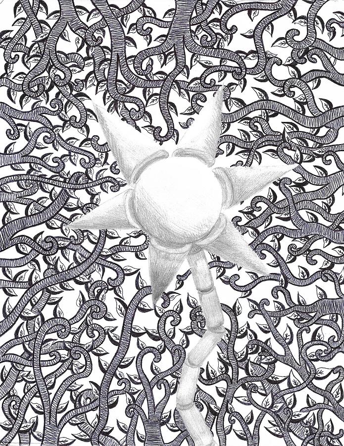 695x900 Geometric Flower And Vines Drawing - Geometric Flower Drawing