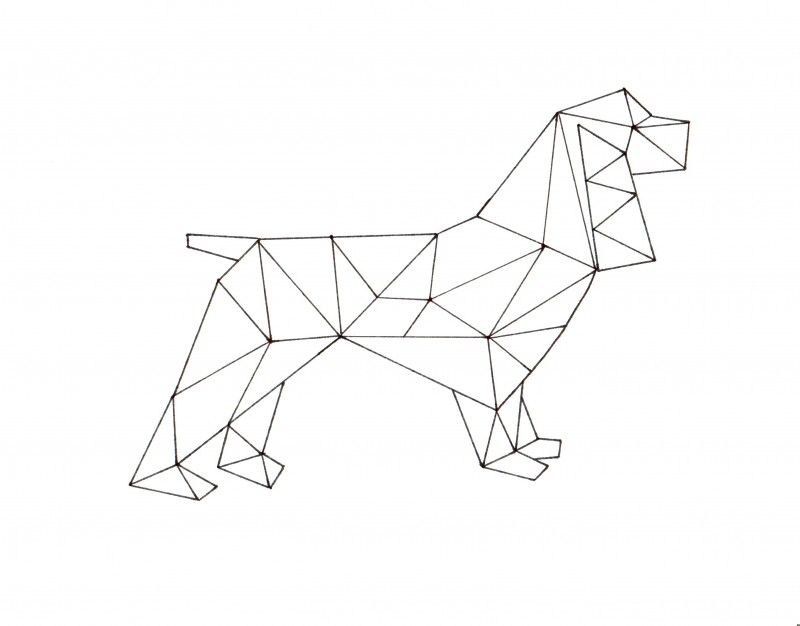 800x626 How To Create Geometric Animal Art Create Geometric Drawing - Geometric Line Drawing
