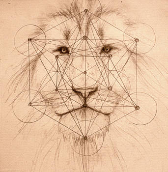 342x350 Geometric Lion - Geometric Lion Drawing