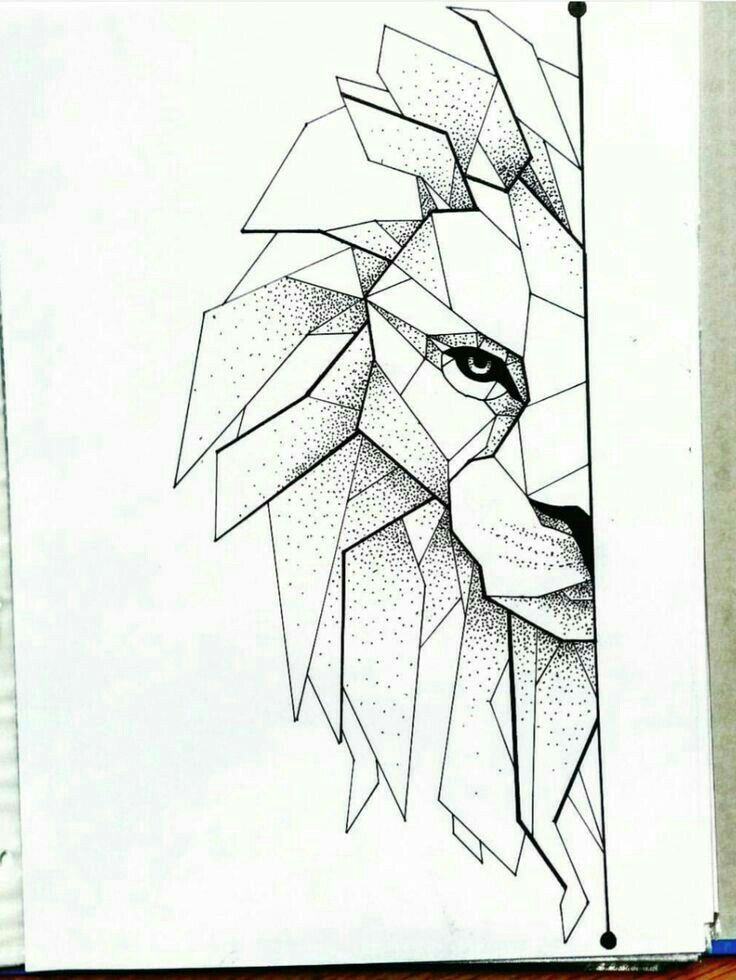 736x980 draws lion drawing, geometric lion, geometric - Geometric Lion Drawing