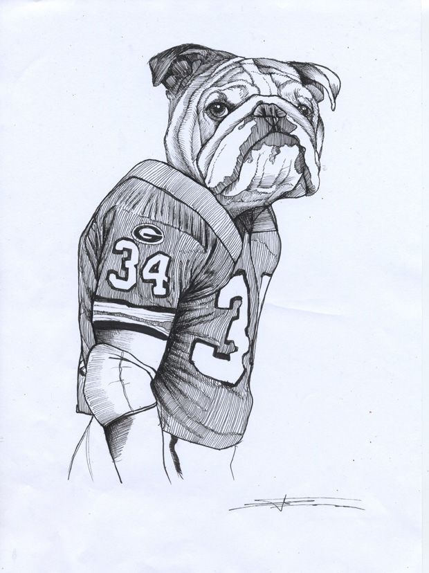 620x828 Footbal American Football Georgia Bulldogs British Bulldog - Georgia Bulldogs Drawings