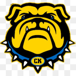 260x260 Georgia Bulldogs Png - Georgia Bulldogs Drawings