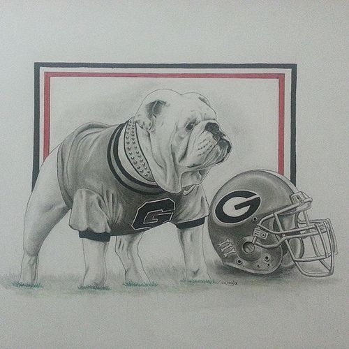 Bulldogs Drawings at Explore collection of