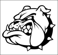 241x232 Bulldog Clipart Georgia - Georgia Bulldogs Drawings