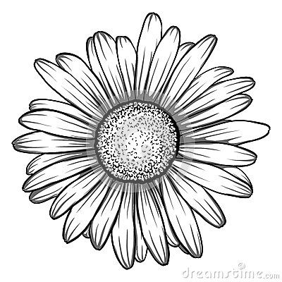 400x400 gerbera daisy drawing tattoos - Gerber Daisy Drawing