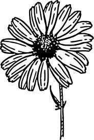 184x273 Gerbera Daisy Drawing Drawing Inspiration Ideas Daisy - Gerbera Daisy Drawing