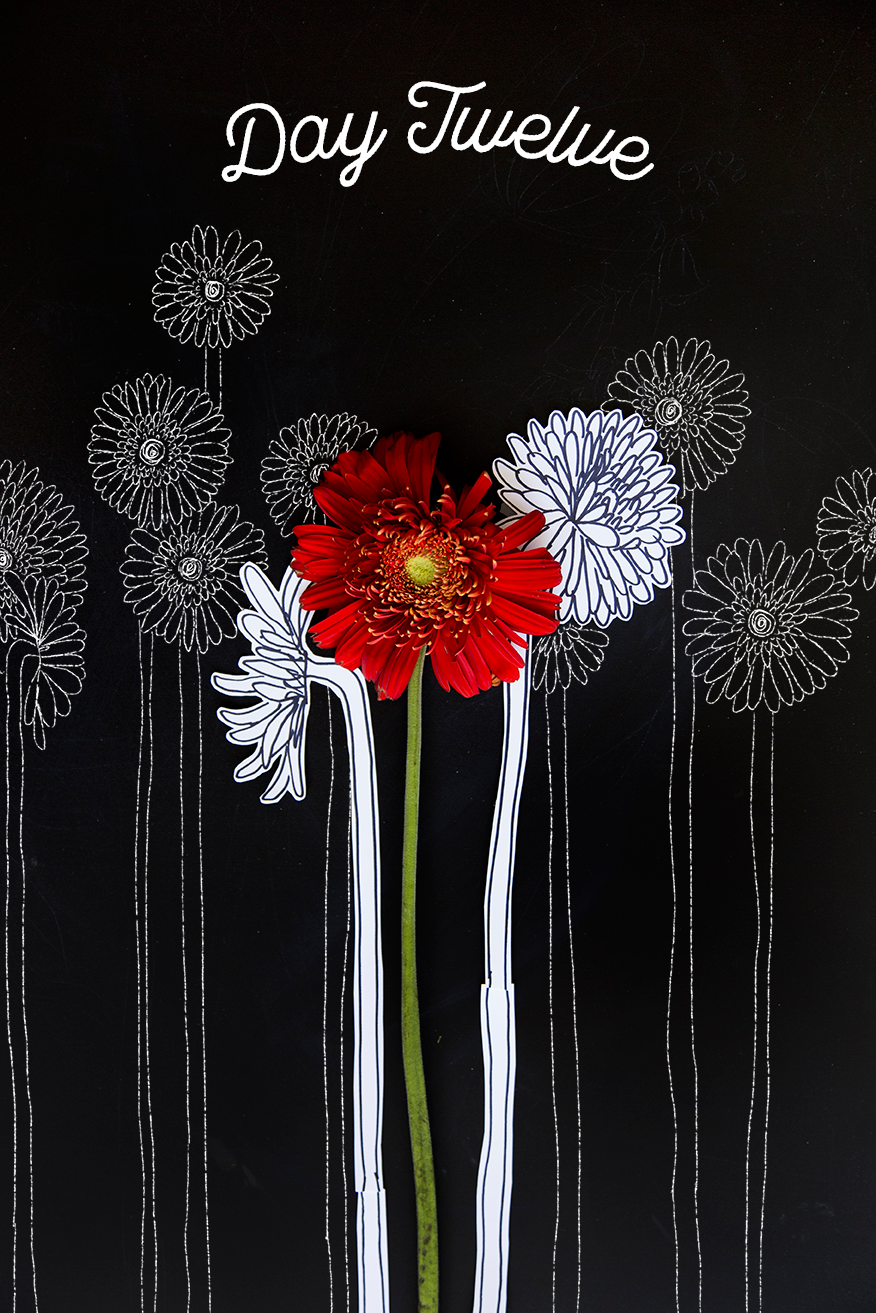 876x1313 Day How To Draw A Gerbera Daisy - Gerbera Daisy Drawing