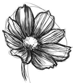 236x268 Flowers Photos On Daisy Drawing, Daisies Tattoo - Gerbera Daisy Drawing