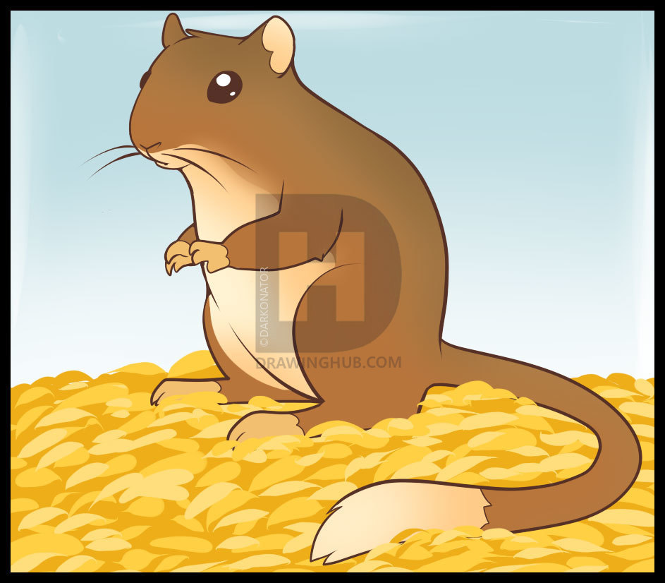 943x826 How To Draw A Gerbil, Step - Gerbil Drawing