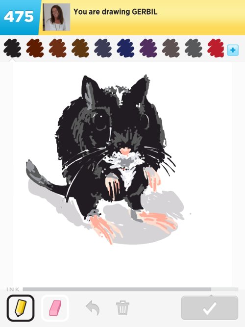 500x667 Gerbil Drawings - Gerbil Drawing