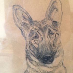 300x300 vintage german shepard dog drawing framed charcoal pencil artist - German Shepherd Dog Drawing