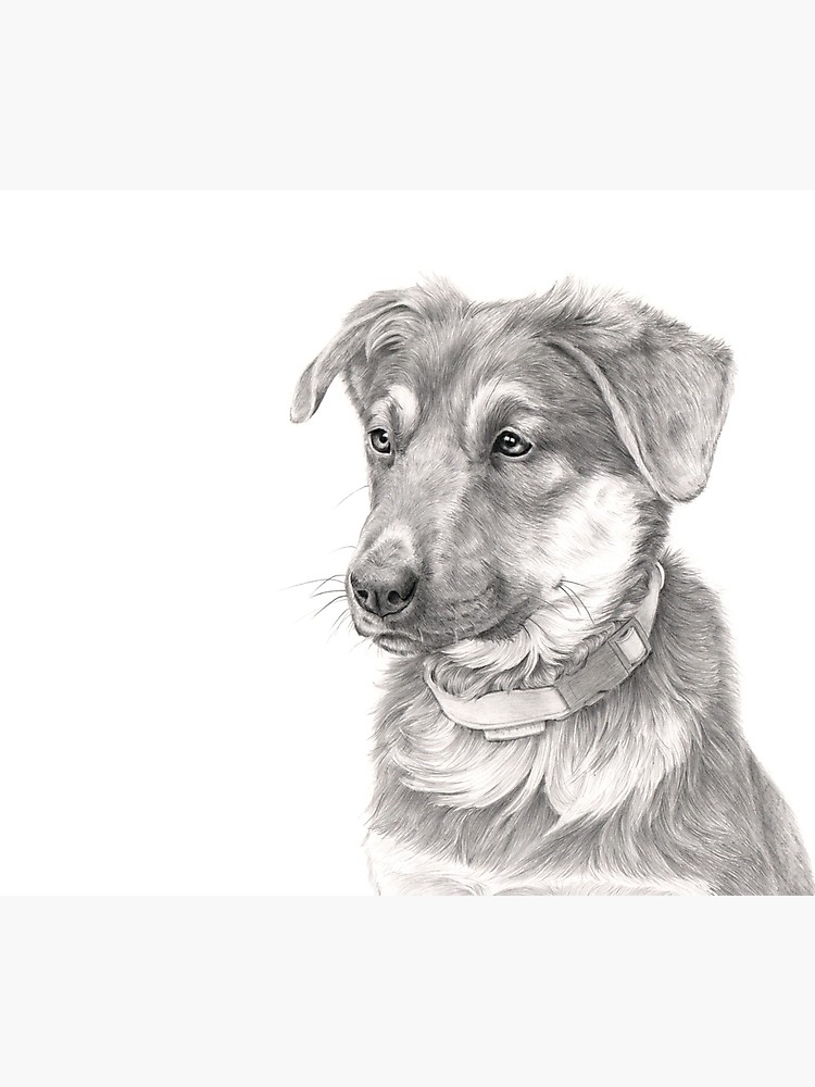 750x1000 German Shepherd Puppy Original Pencil Drawing Photographic Print - German Shepherd Drawings In Pencil