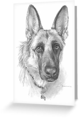277x415 German Shepherd Drawing Greeting Cards - German Shepherd Drawings In Pencil