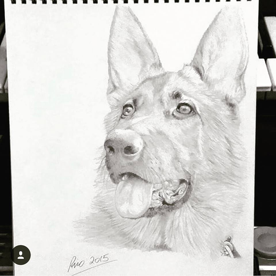 German Shepherd Drawings In Pencil at Explore