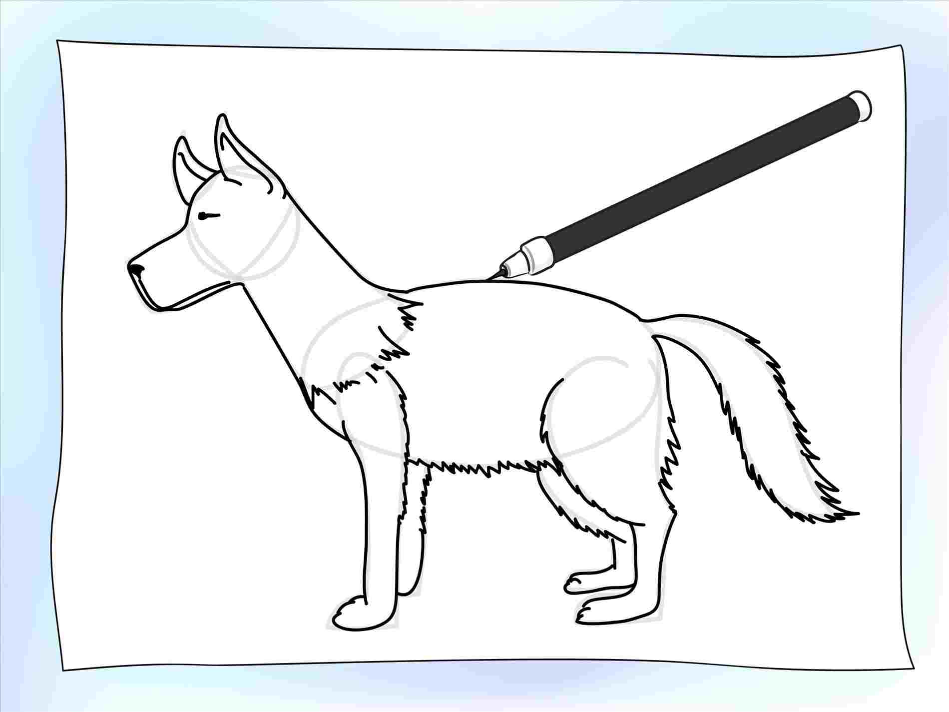 1900x1425 draw a german shepherd how to draw a cartoon german shepherd easy - German Shepherd Easy Face Drawing