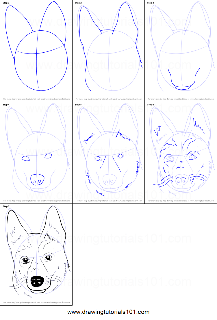 751x1107 How To Draw German Shepherd Dog Face Printable Step - German Shepherd Easy Face Drawing