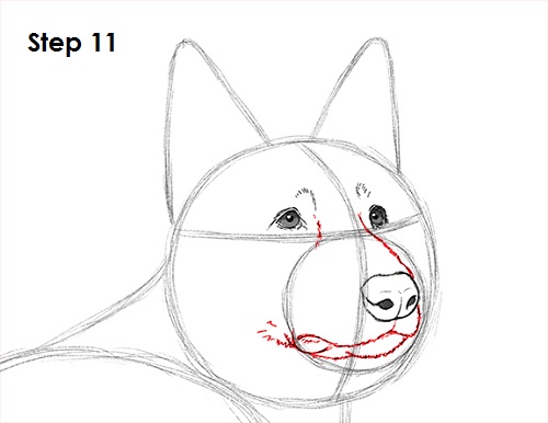 German Shepherd Easy Face Drawing at PaintingValley.com | Explore