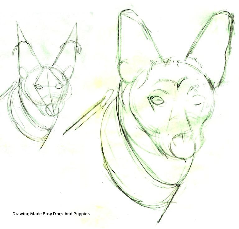 768x736 Drawing Made Easy Dogs And Puppies Drawing Lesson A German - German Shepherd Easy Face Drawing