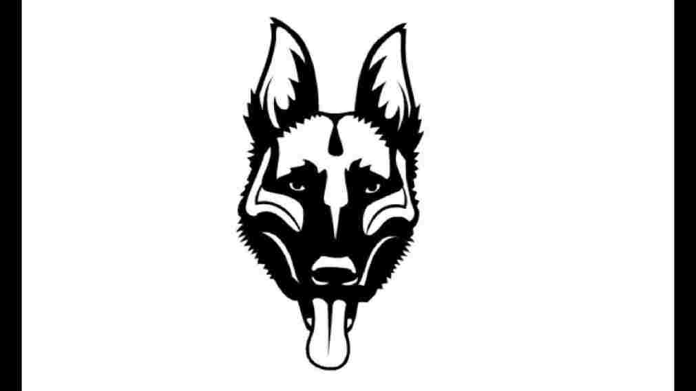 1011x569 German Shepherd Face Drawing Cartoon - German Shepherd Easy Face Drawing