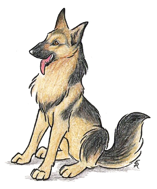 German Shepherd Face Drawing at Explore collection