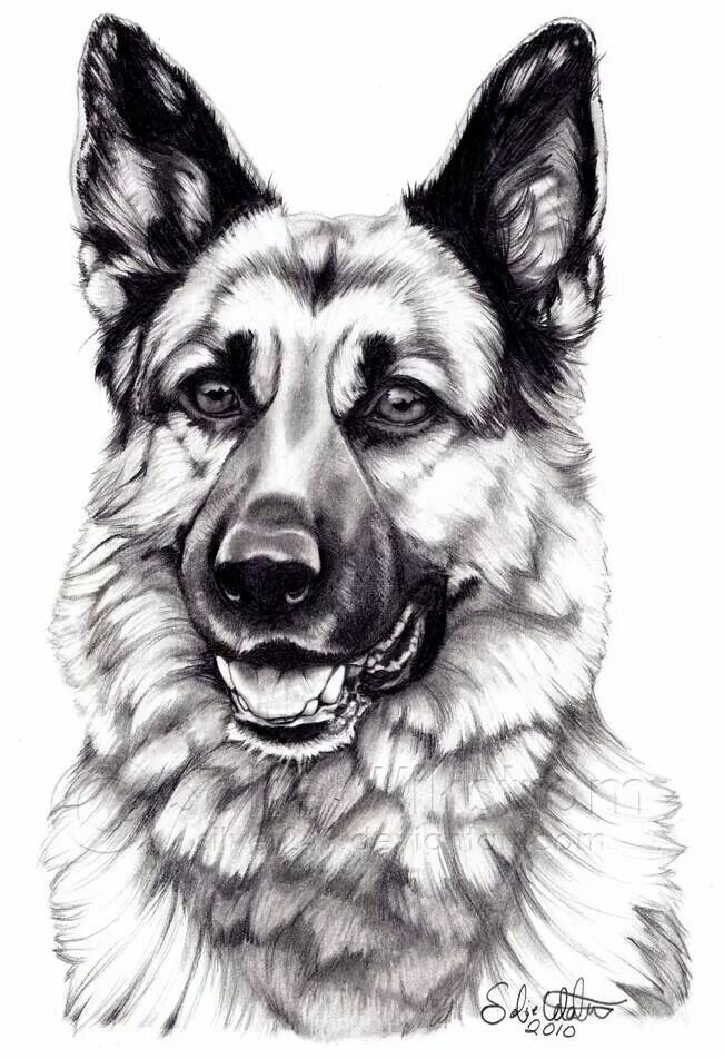 Gsd Drawing Gsd Pics. 