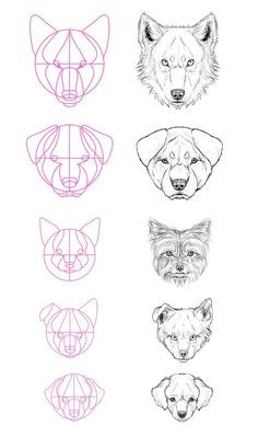 236x399 How To Draw A Sketch Of A Dog Fresh How To Draw German Shepherd - German Shepherd Face Drawing
